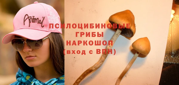 PSILOCYBIN Ладушкин