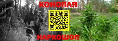 крисы Гусь-Хрустальный