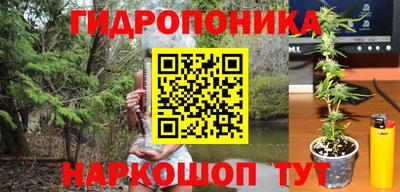 крисы Гусь-Хрустальный