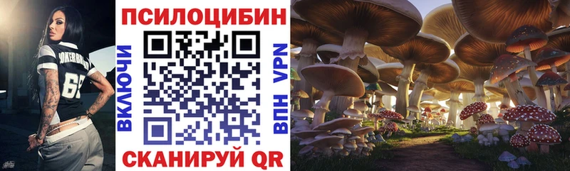 мориарти наркотические препараты  Сосновый Бор  Галлюциногенные грибы ЛСД 
