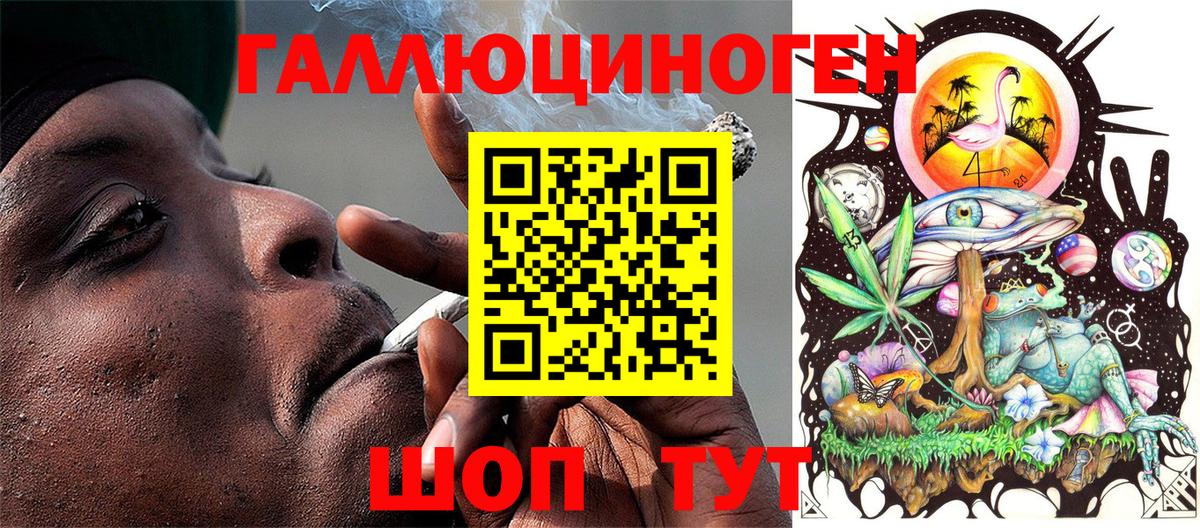 Галлюциногенные грибы MAGIC MUSHROOMS  Галлюциногенные грибы Psilocybine cubensis  Сосновый Бор 